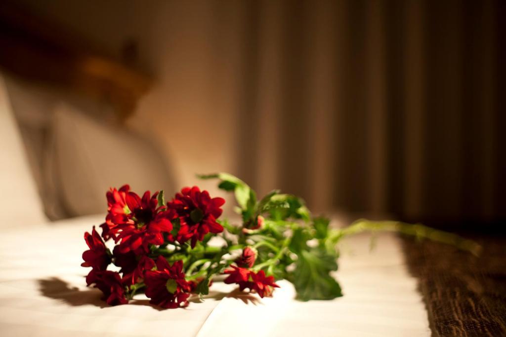Dahlia Inn Prague Phòng bức ảnh
